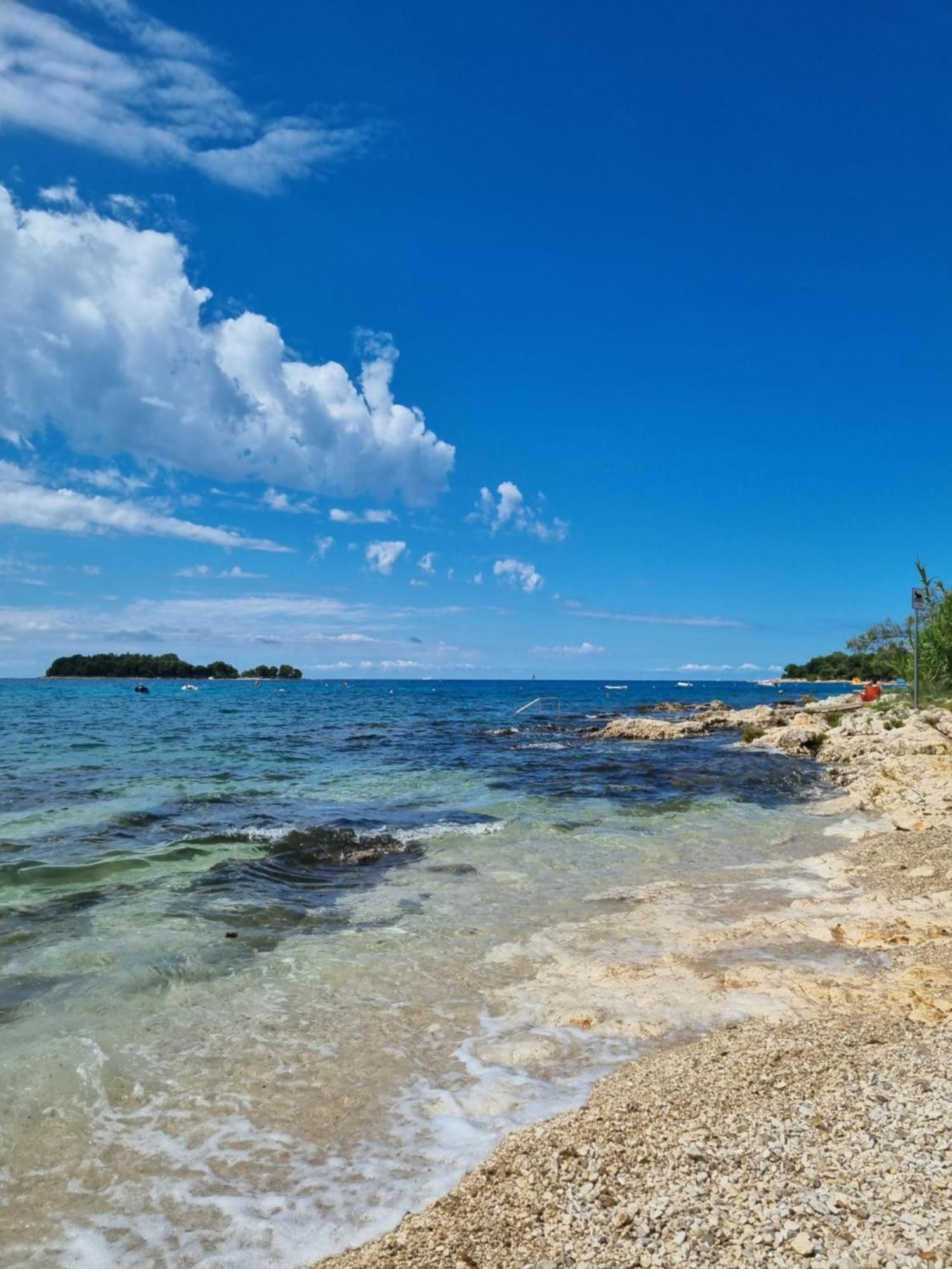 Villa Oskar Istrien Sveti Lovreč Pazenatički Kültér fotó